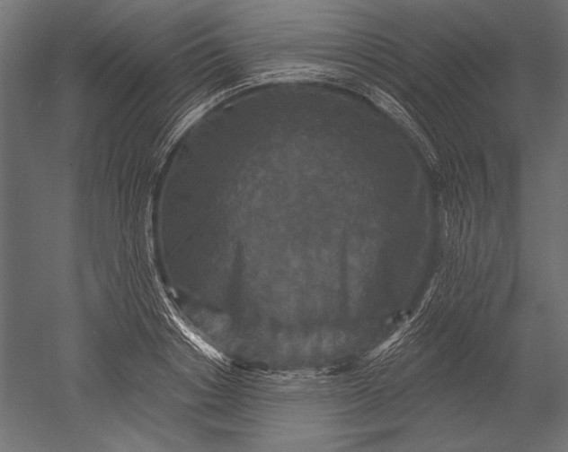 X0000051260842200507011716