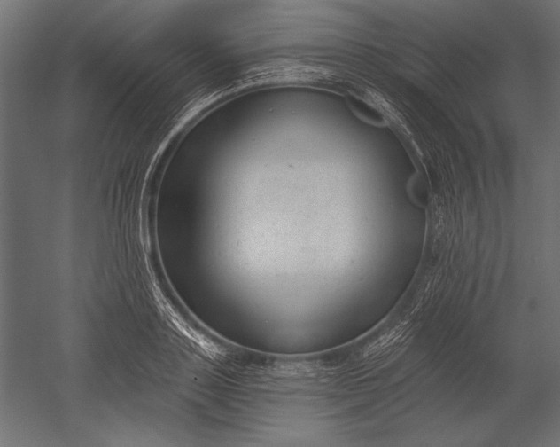 X0000051260843200507011716