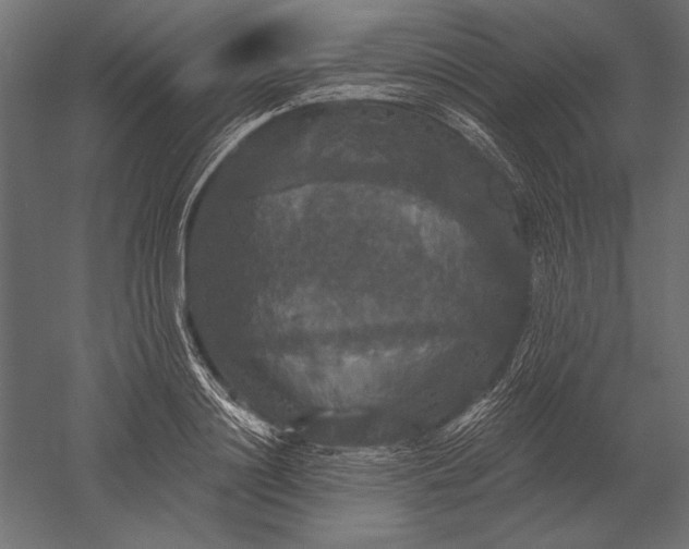 X0000051260844200507011716