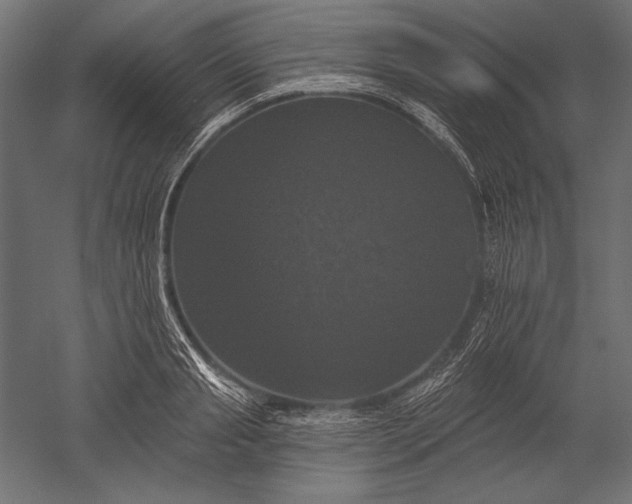 X0000051260845200507011716