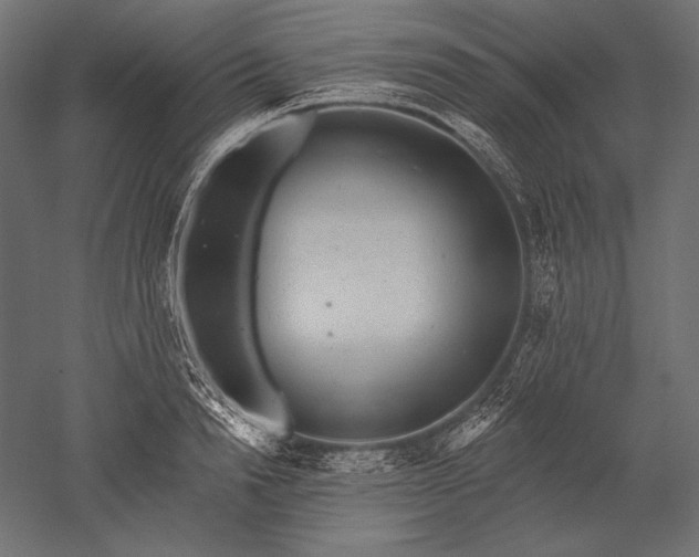 X0000051260846200507011716