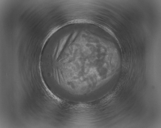 X0000051260847200507011716