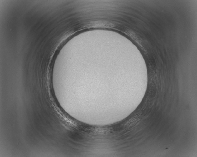 X0000051260848200507011716