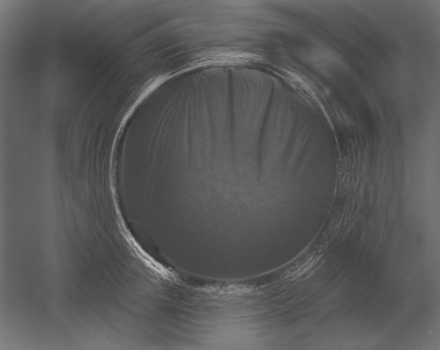 X0000051260851200507011716