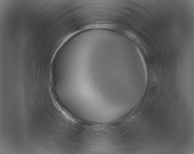 X0000051260852200507011716