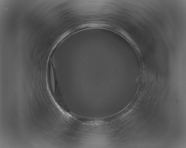 X0000051260853200507011716