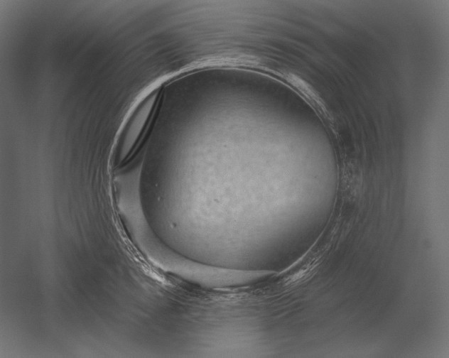 X0000051260854200507011717