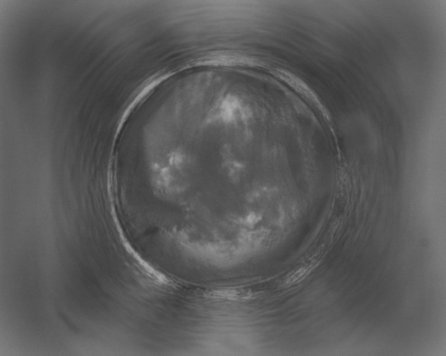 X0000051260855200507011717