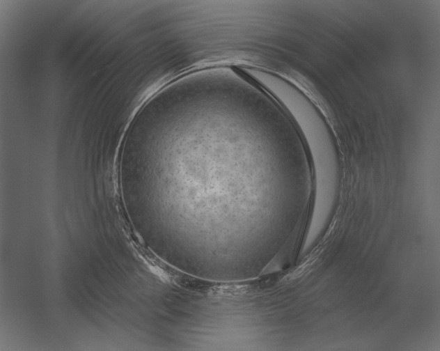 X0000051260858200507011717