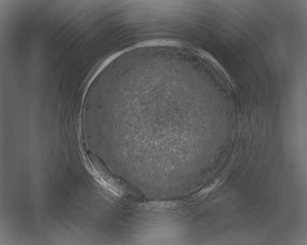 X0000051260860200507011717