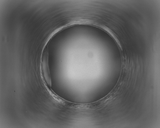 X0000051260861200507011717