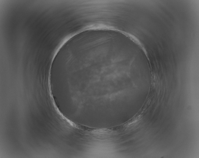 X0000051260863200507011717