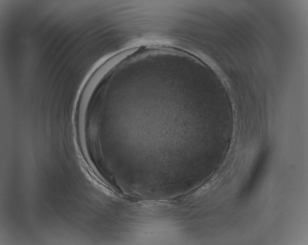 X0000051260864200507011717