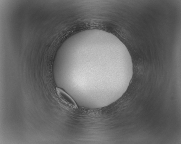 X0000051260865200507011716