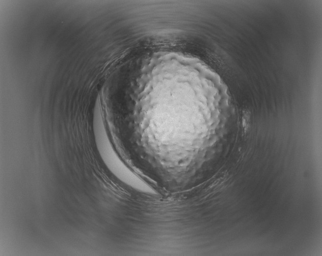 X0000051260867200507011716