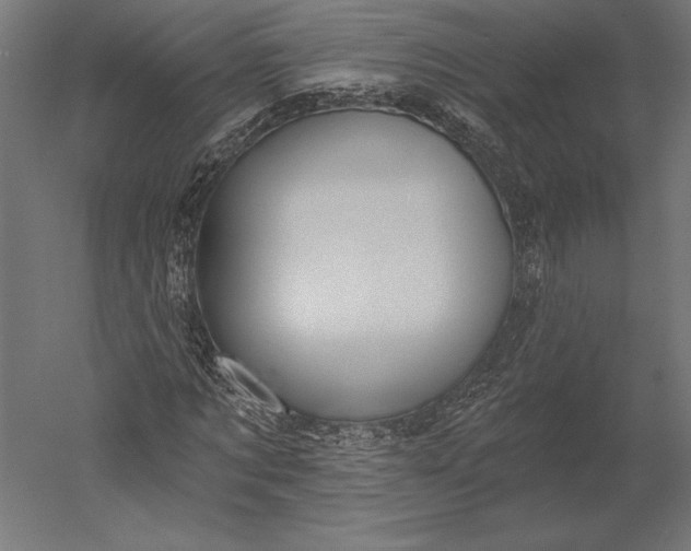 X0000051260869200507011716