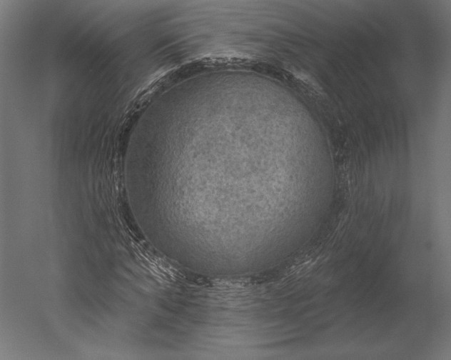 X0000051260870200507011716