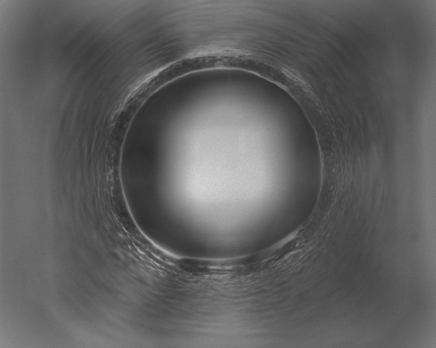 X0000051260872200507011716