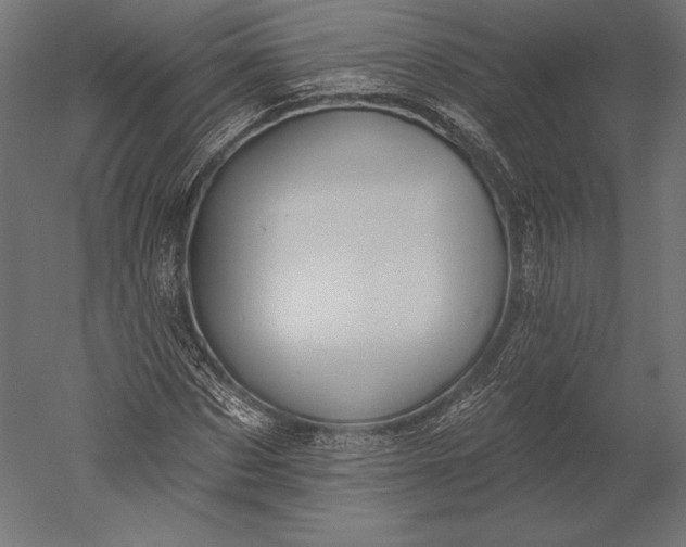 X0000051260873200507011716