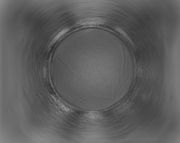 X0000051260874200507011716