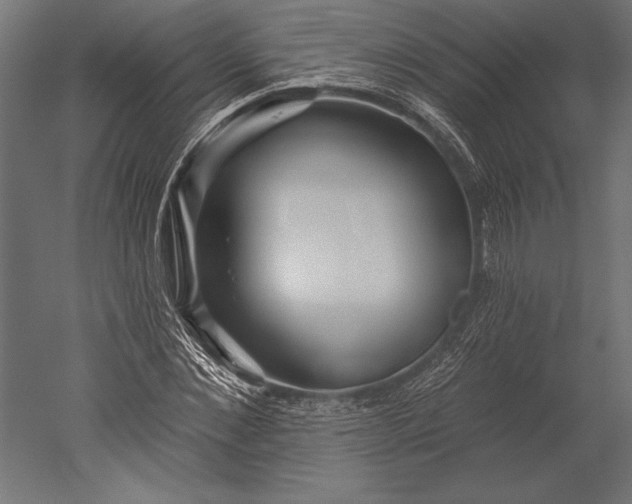X0000051260876200507011716