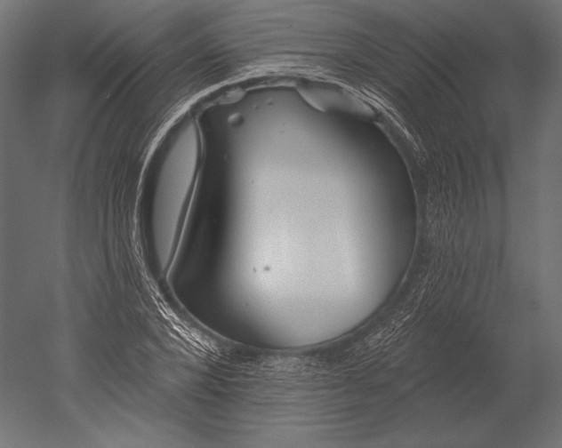 X0000051260880200507011716