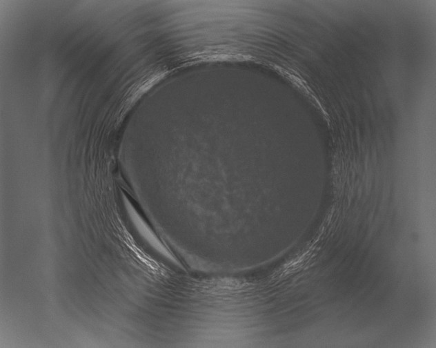 X0000051260881200507011716