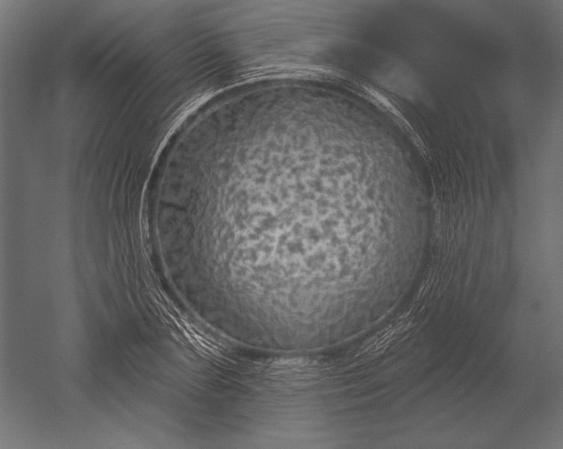 X0000051260883200507011716