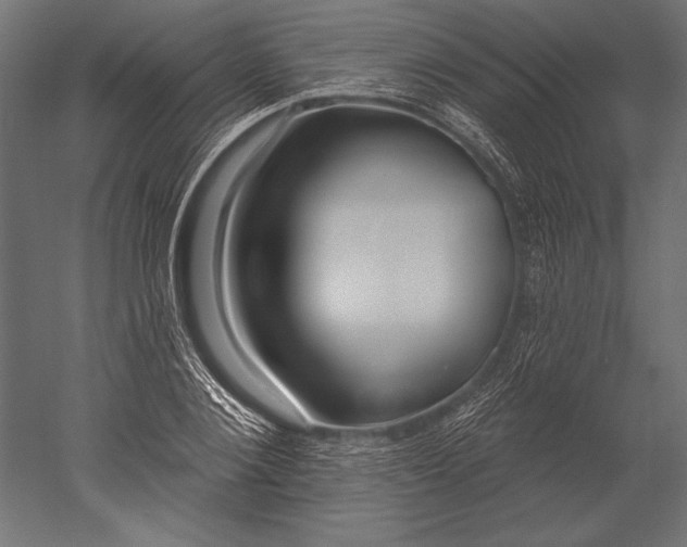 X0000051260884200507011716