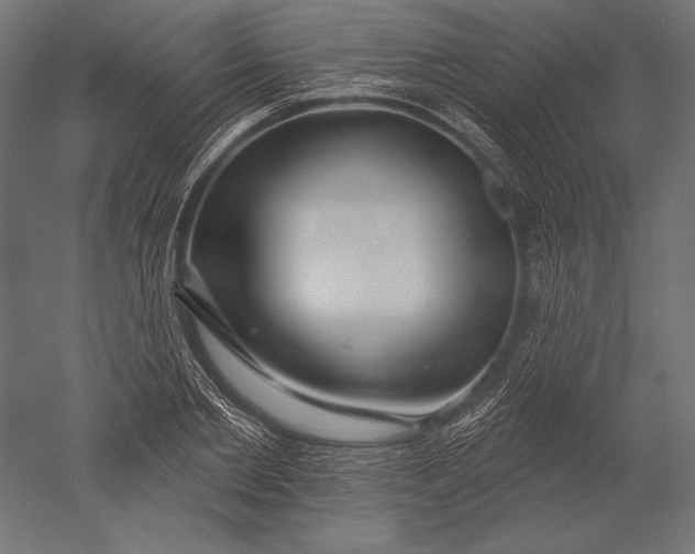 X0000051260885200507011716