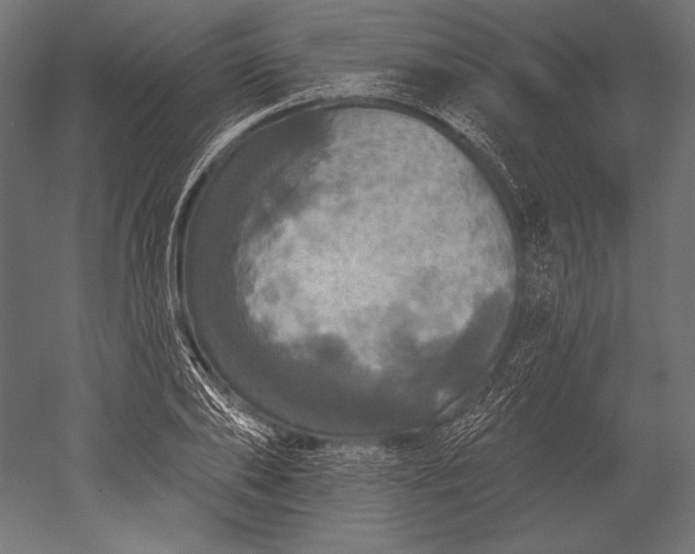 X0000051260886200507011715