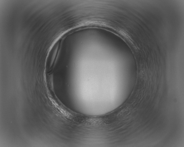 X0000051260888200507011715