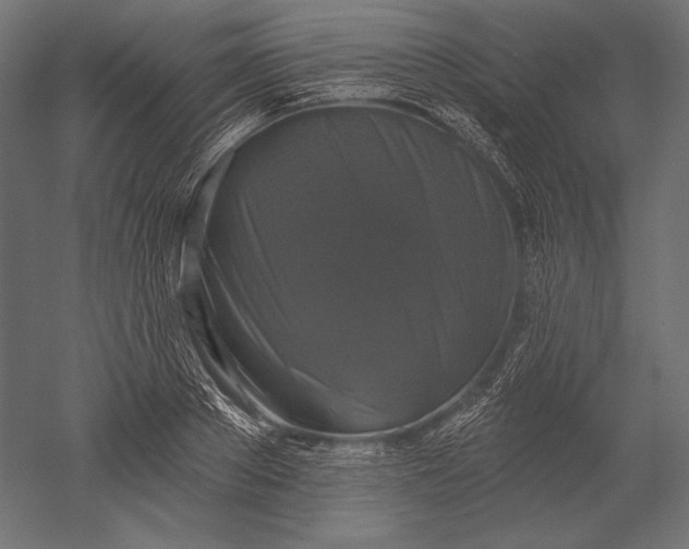 X0000051260889200507011715
