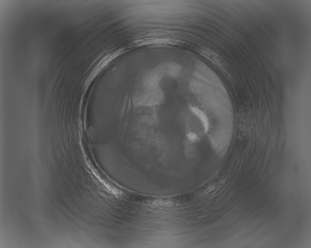X0000051260890200507011715