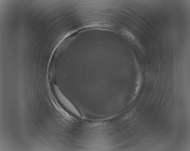 X0000051260892200507011715