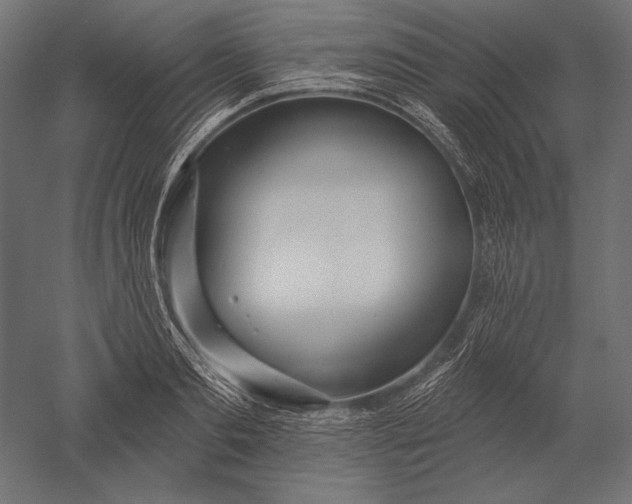 X0000051260893200507011715