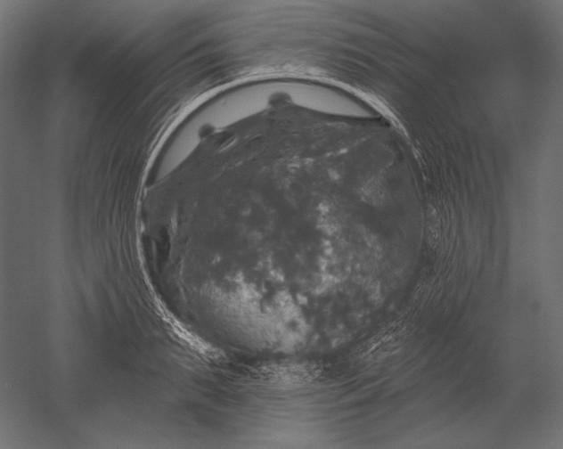 X0000051260895200507011715