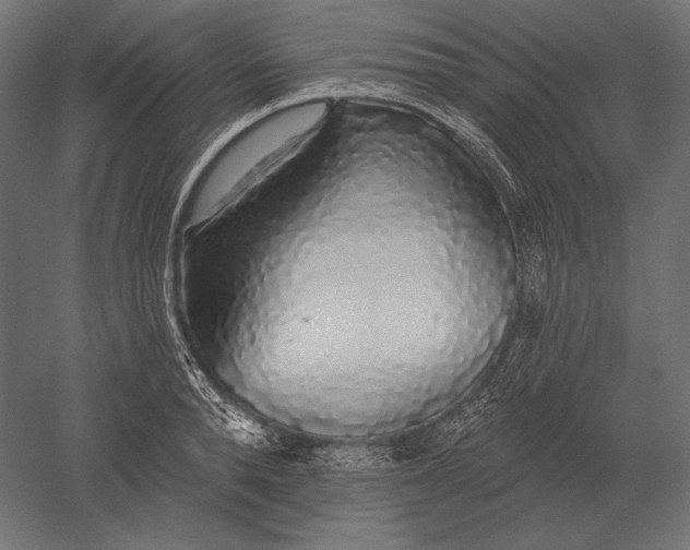 X0000051260896200507011715