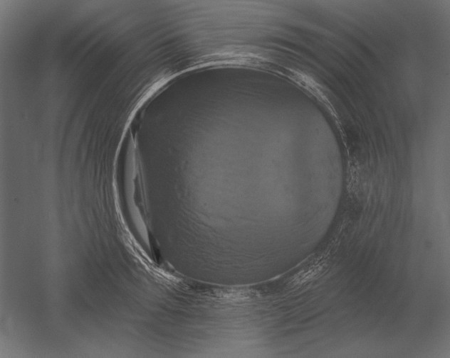 X0000051260899200507011715