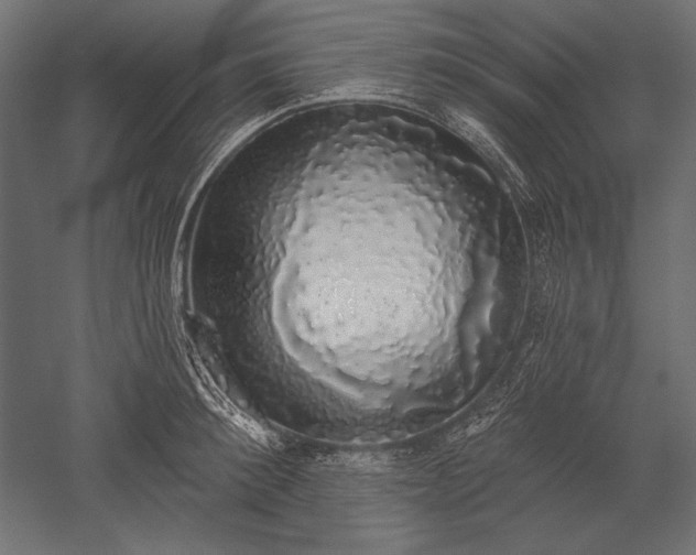 X0000051260900200507011715