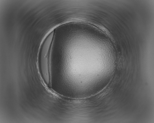 X0000051260904200507011715