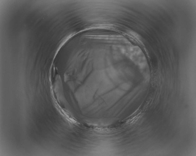 X0000051260907200507011715