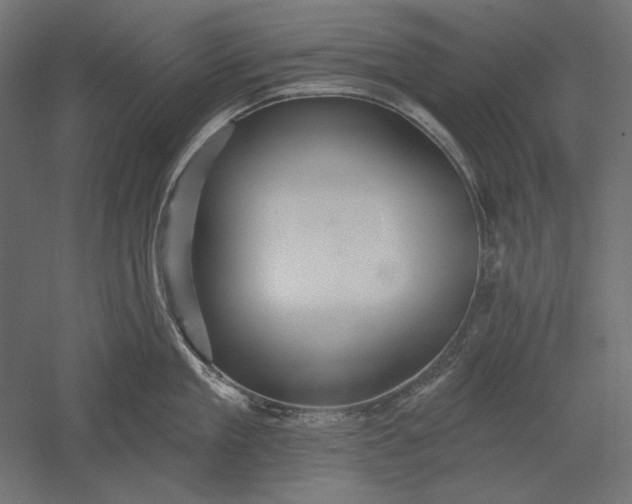 X0000051260909200507011715