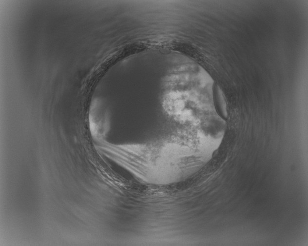 X0000051260913200507011714