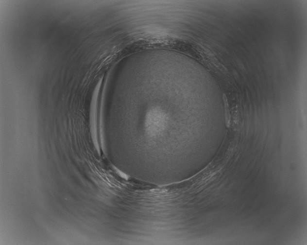 X0000051260916200507011714