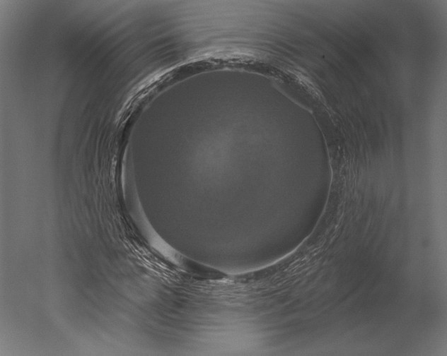 X0000051260920200507011714