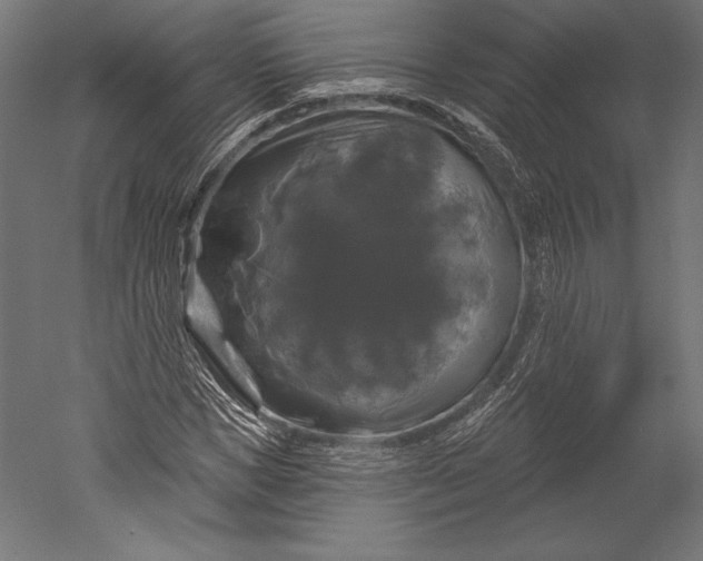 X0000051260921200507011714