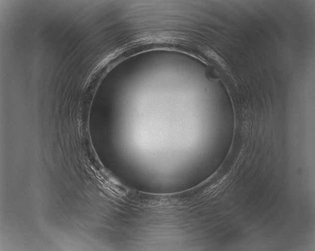 X0000051260922200507011714