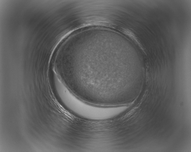 X0000051260924200507011714