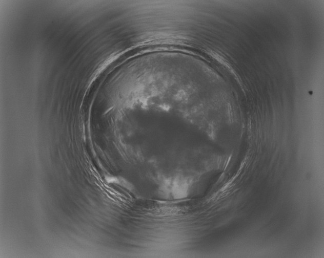 X0000051260925200507011714